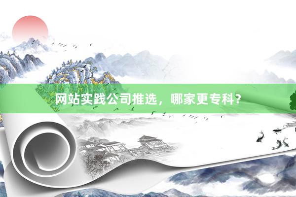 网站实践公司推选，哪家更专科？